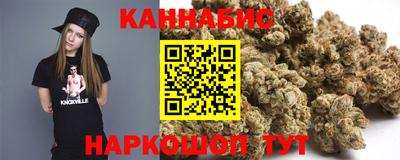 прущие крисы Кингисепп