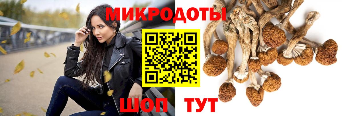 Псилоцибиновые грибы прущие грибы Костомукша